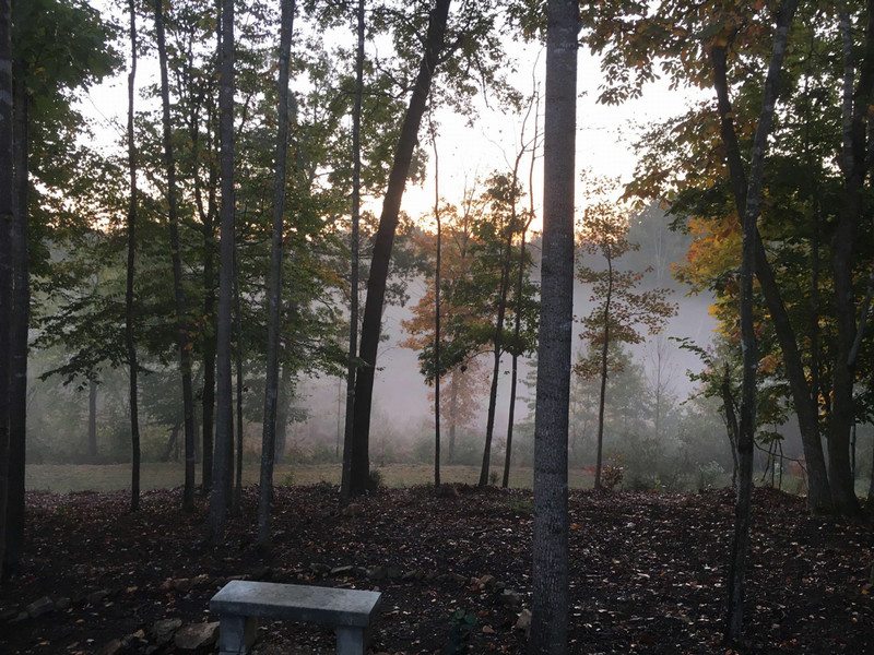 A foggy forest scene with a marble bench for sitting and reflecting