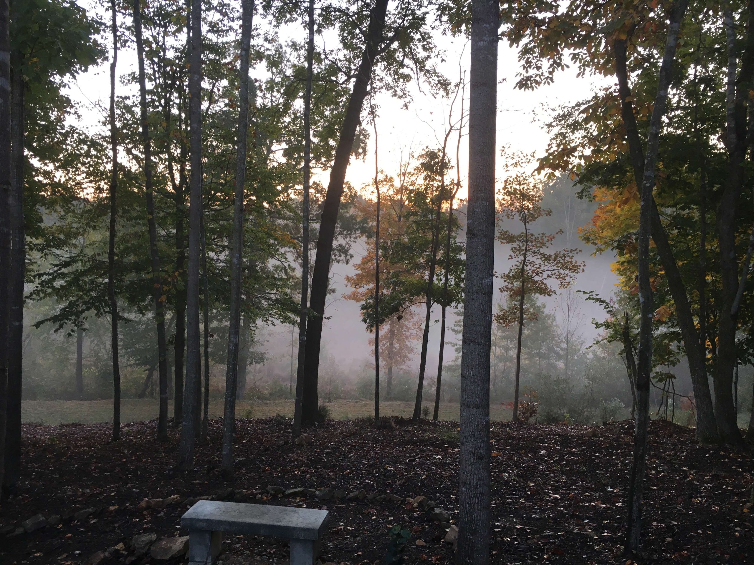 Pet Cremation in Hillsborough, NC